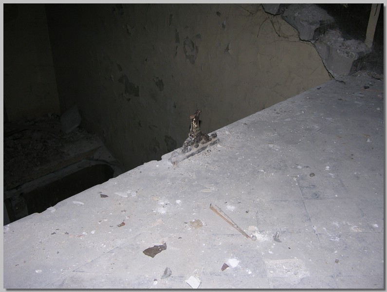 DSCN1387.JPG (91.7 KB)