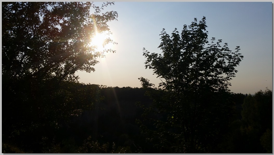 20150808_183740.jpg (150 KB)