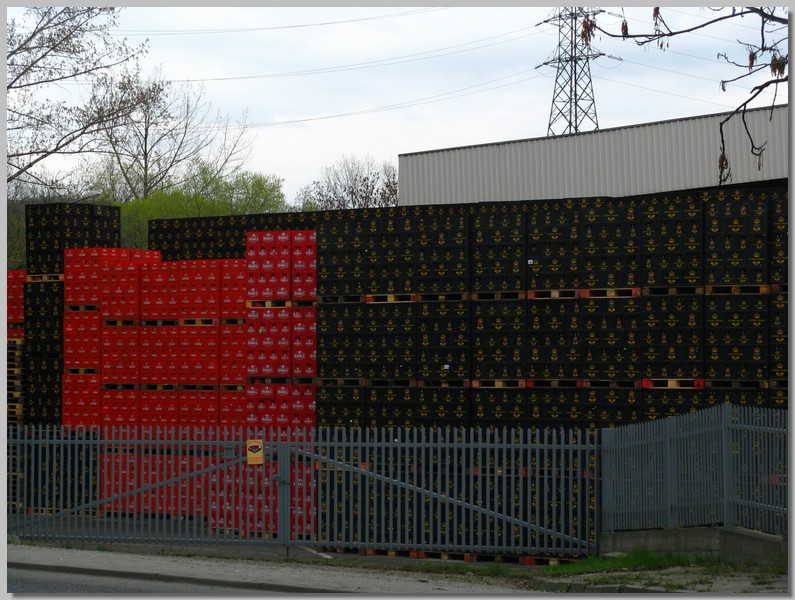 20064.JPG (150 KB)