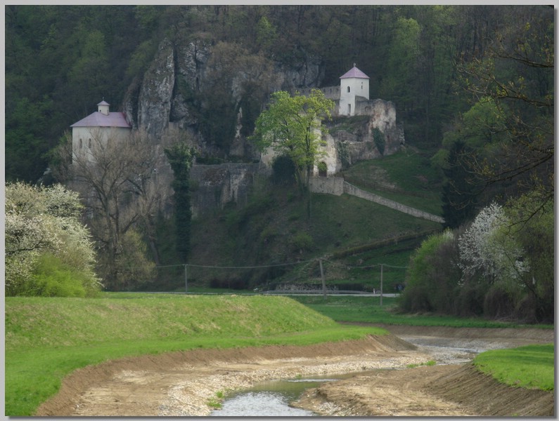 20131.JPG (129 KB)