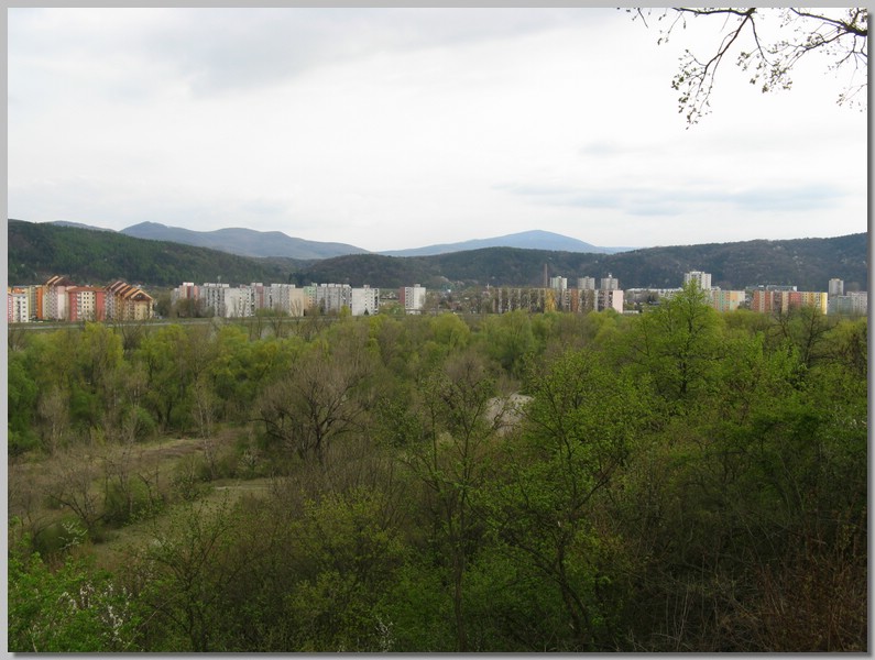 20133.JPG (116 KB)