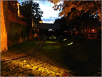 IMG_7890.JPG(143 KB)