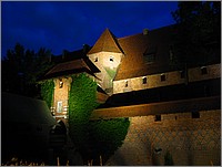 IMG_7895.JPG(108 KB)