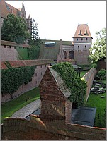 IMG_7941.JPG(76,9 KB)