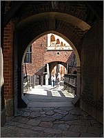 IMG_7949.JPG(70,0 KB)