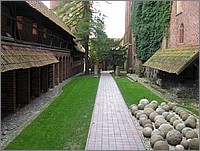 IMG_7996.JPG(165 KB)