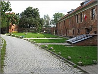IMG_8001.JPG(170 KB)