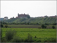 IMG_8016.JPG(92,7 KB)