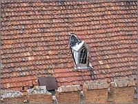 IMG_8045.JPG(190 KB)