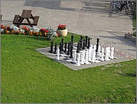 IMG_8055.JPG(165 KB)