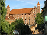 IMG_8066.JPG(176 KB)
