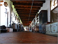 IMG_8110.JPG(125 KB)