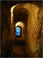 IMG_8114.JPG(60,5 KB)