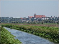 IMG_8129.JPG(107 KB)