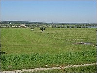 IMG_8131.JPG(131 KB)