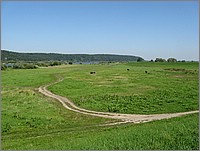 IMG_8134.JPG(129 KB)