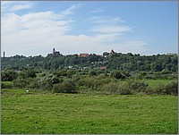 IMG_8138.JPG(122 KB)