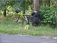 IMG_8140.JPG(216 KB)