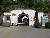 IMG_8150.JPG(134 KB)