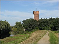 IMG_8176.JPG(107 KB)