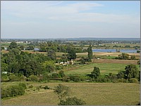 IMG_8181.JPG(114 KB)