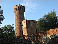IMG_8188.JPG(134 KB)