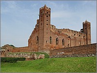IMG_8238.JPG(130 KB)