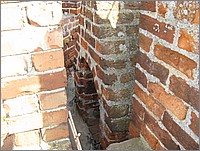 IMG_8245.JPG(161 KB)