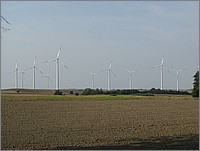 IMG_8255.JPG(95,2 KB)