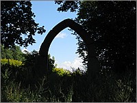 IMG_8329.JPG(140 KB)