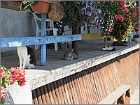 IMG_8346.JPG(165 KB)