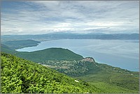 P1570414_5_6.jpg(211 KB)