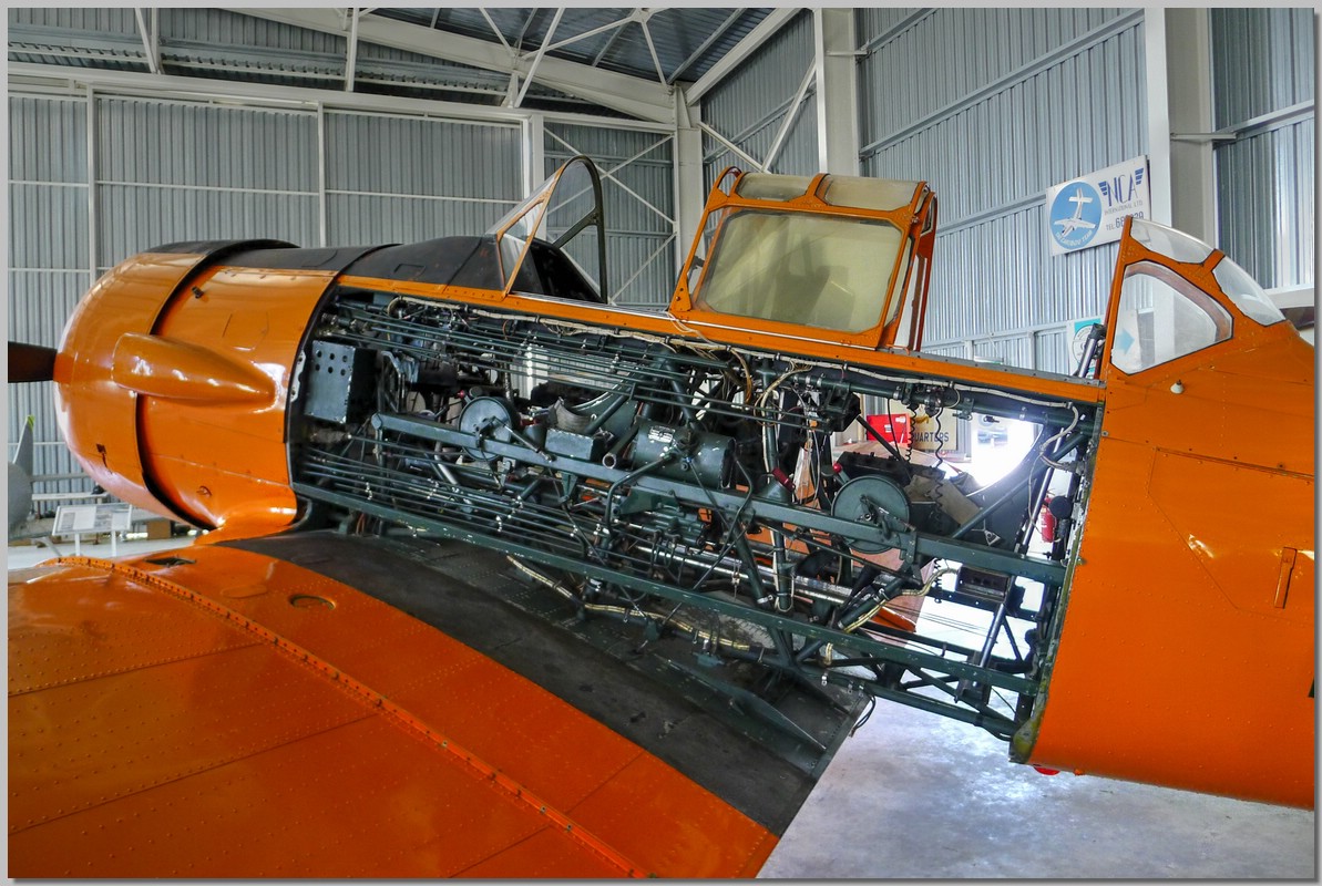 P1190143_4_5.jpg (266 KB)