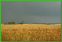 IMG_2097.JPG()