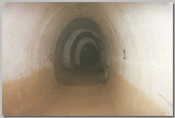 1QD0001022.JPG ()