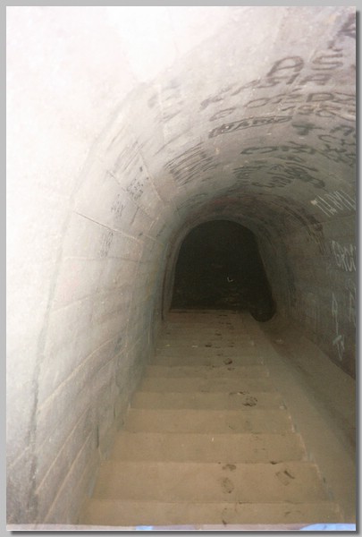 1QD0001037.JPG ()