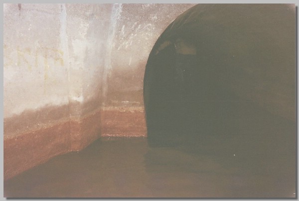 2QD0001002.JPG ()