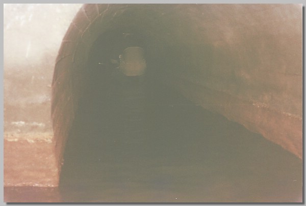 2QD0001003.JPG ()