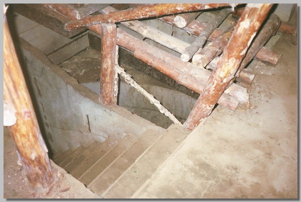 2QD0001012.JPG ()