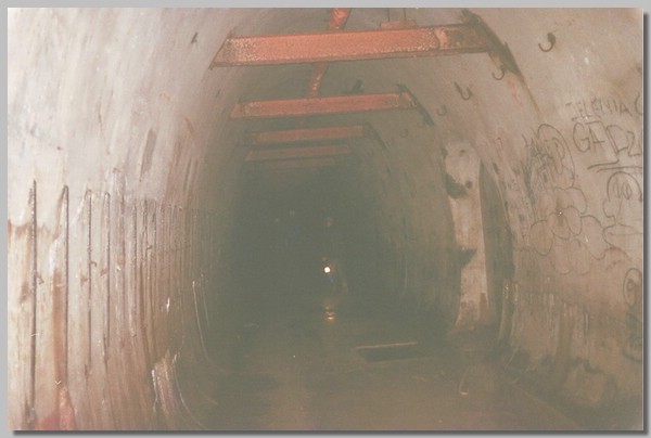 3QD0001009.JPG ()