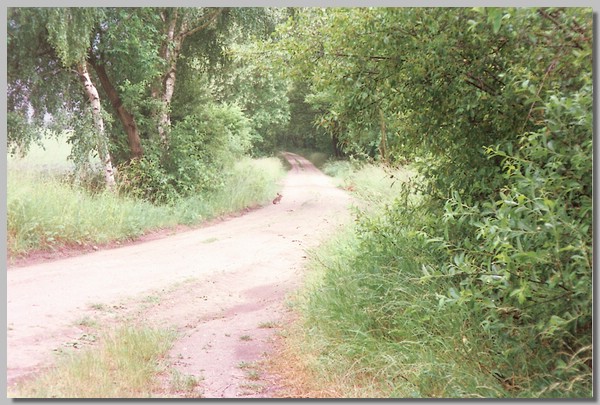 3QD0001019.JPG ()