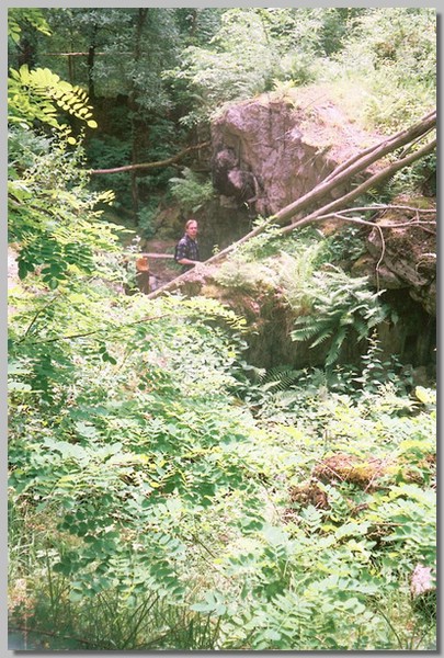 4QD0001002.JPG ()
