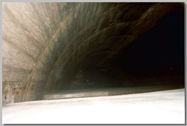 5QD0001010.JPG ()