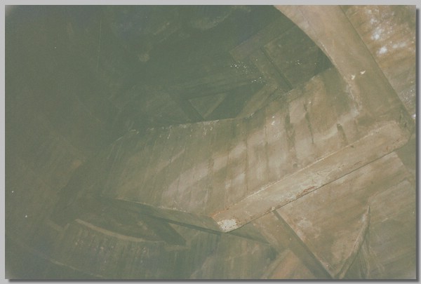 5QD0001026.JPG ()