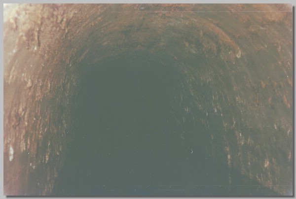 6QD0001002.JPG ()