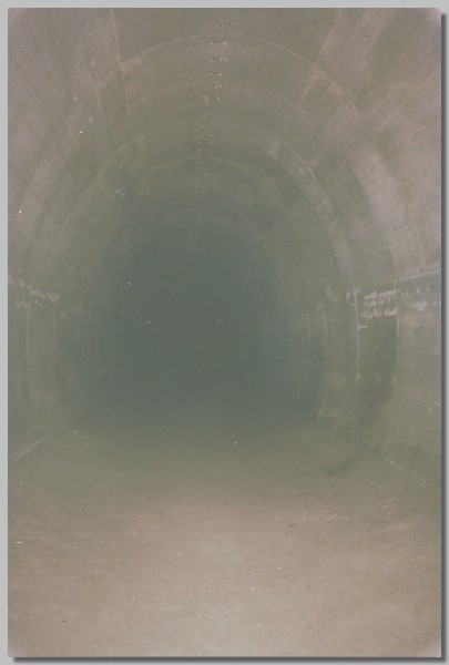 6QD0001008.JPG ()