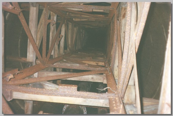 6QD0001012.JPG ()