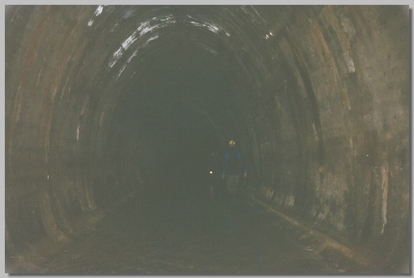 6QD0001017.JPG ()