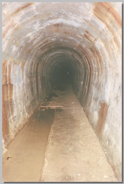 6QD0001018.JPG ()