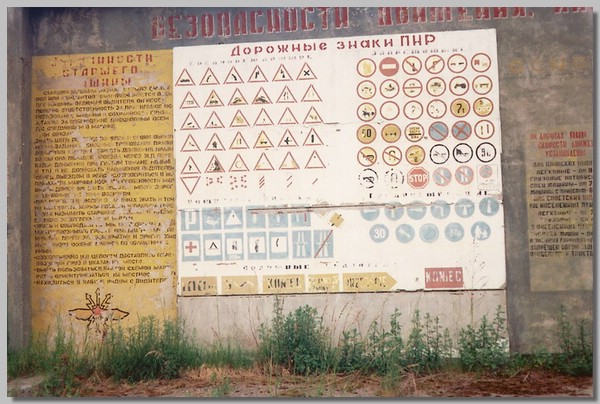 6QD0001022.JPG ()